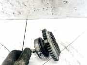 Kupplung Kühlerlüfter Volkswagen Passat, B5 1996.08 - 2000.11 058121547, APU