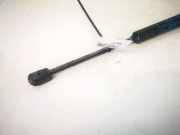 Gasdruckfeder Kofferraum Fiat Idea 2003 - 2012 51705073,