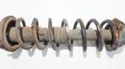 Fahrwerksfeder Hinterachse Honda Accord, 1993.10 - 1997.12 Gebraucht,