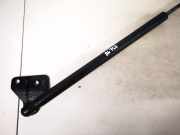 Gasdruckfeder Kofferraum Ford C-MAX, 2003.01 - 2007.06 3m51r406a10ab,3m51-r406a10-ab