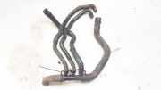 Kühlerschlauch Renault Scenic, II 2003.06 - 2006.06 Gebraucht,
