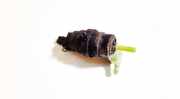 Waschwasserpumpe Scheibenreinigung Opel Astra, H 2004.03 - 2009.12 Gebraucht,