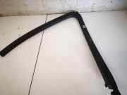 Zierleiste Leiste - Vorne Rechts Renault Scenic, II 2006.06 - 2009.02 facelift 8200239279,8200239279 MP5542