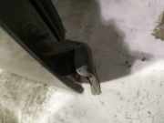 T?rscharnier Vorne Nissan Primera, P12 2002.01 - 2008.12 Gebraucht,