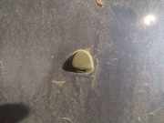 Waschwasserdüse Scheibenreinigung Fiat Stilo, 2001.10 - 2007.01 Gebraucht ,