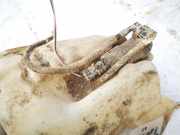 Waschwasserpumpe Scheibenreinigung Nissan Almera Tino 2003.09 - 2006.12 facelift Gebraucht,