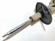 Stoßdämpfer - Vorne Rechts Mitsubishi Carisma, II 2000.09 - 2006.06 Gebraucht,