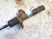 Stoßdämpfer - Vorne Rechts Audi A3, 8P 2003.05 - 2005.06 Gebraucht,