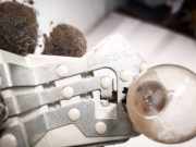 Lampenträger Heckleuchte - Hinten Volvo V50, 2004.04 - 2007.05 28129007,