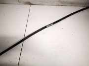 Zierleiste Tür Zier-Schutzleiste - Vorne Linke Volkswagen Passat, B6 2005.08 - 2010.11 Gebraucht, BKP