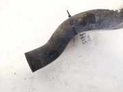 Kühlerschlauch Toyota Urban Cruiser 2009 - 2012 Gebraucht,