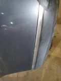 Zier-Schutzleiste Stoßfänger - Hinten Linke Citroen C5, I 2004.08 - 2008.02 facelift Gebraucht,