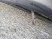 T?rfangband T?rbremse T?rstopper - Hinten Linke Opel Agila A 2000 - 2007 Gebraucht,