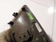 Türinnengriff - Hinten Linke Chrysler 300C, I 2005.01 - 2010.06 100010708,