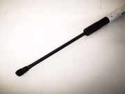 Gasfeder für Motorhaube BMW 3-Series, E90 E91 E93 2005.02 - 2009.01 51237060550,