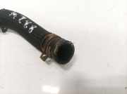 K?hlerschlauch Peugeot 508, 2010.11 - 2018 Gebraucht,