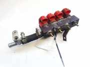 Einspritzleiste Gasanlage Suzuki Swift, 2005.02 - 2010.10 Gebraucht,