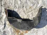 Radhausschale - Hinten Linke Toyota Corolla Verso, II 2001.09 - 2004.05 Gebraucht ,