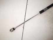 Gasdruckfeder Kofferraum Lexus IS, II 2005.10 - 2013.03 Gebraucht,