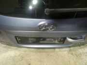 Kennzeichenleuchte Hyundai Santa Fe, 2006.03 - 2012.09 Gebraucht,