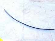 Zierleiste Leiste - Vorne Rechts Toyota RAV-4, III 2005.11 - 2012.12 Gebraucht,