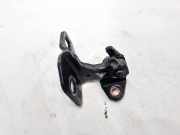 Türscharnier Vorne Tesla Model S, I 2012.01 - 2016.06 I120038,