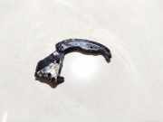 Gleitschiene Steuerkette Ford Mondeo, 2000.11 - 2007.03 YC1Q6L266BD,