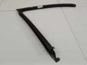 Zierleiste Leiste - Vorne Rechts Renault Scenic, II 2003.06 - 2006.06 8200239279,8200239279