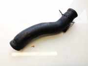 Kühlerschlauch Nissan Almera, N16 2000.06 - 2003.01 Gebraucht,