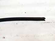 Zierleiste Leiste - Hinten Linke Audi A3, 8P 2003.05 - 2005.06 Gebraucht ,