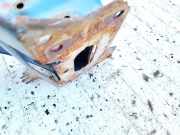 Stoßstangenträger vorne Mazda 6, 2002.06 - 2007.08 Gebraucht,