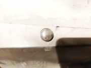 Waschwasserdüse Scheibenreinigung Opel Astra, H 2004.03 - 2009.12 Gebraucht,