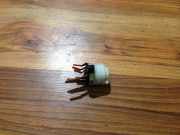 Zünd Startschalter Mazda 626, 1991.08- 1997.04 Gebraucht ,