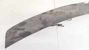 Spoiler hinten Ford C-MAX, 2003.01 - 2007.06 Gebraucht ,