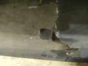 Waschwasserdüse Scheibenreinigung Audi A6, C4 1994.06 - 1997.10 Gebraucht,