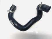 Kühlerschlauch Peugeot 206, 1998.08 - 2002.07 Gebraucht,