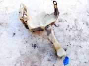 Scheibenwaschbehälter Vorne Wischwasserbehälter Skoda Superb, I 2001.12 - 2008.03 3B0955453AF,3B0 955 453 AF 3B0955453AF