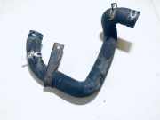 K?hlerschlauch Citroen Berlingo, I 2002.11 - 2008.04 facelift Gebraucht,