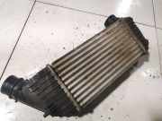 Ladeluftkühler Peugeot Expert, 2007.01 --> Gebraucht,