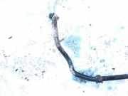 Stabilisator Vorne Audi 80, B4 1991.09 - 1995.01 Gebraucht,