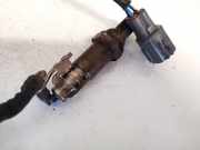 Lambdasonde - 4 Dr?hte WEISS SCHWARZ SCHWARZ BLAU Toyota Prius, 2003.06 - 2009.01 8946547070,89465-47070