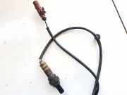 Lambdasonde -4 Drähte WEISS WEISS SCHWARZ GRAU Audi A6, C6 2005.01 - 2008.10 Gebraucht,