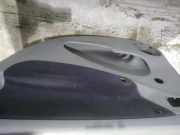 Türverkleidung - Hinten Rechts Citroen Xsara Picasso, I 2004.05 - 2011.12 facelift Gebraucht,