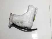 Ausgleichsbehälter Nissan Almera, N16 2000.06 - 2003.01 21710bm410,