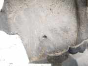 Radhausschale - Hinten Linke Toyota Auris, I E15 2006.10 - 2012.10 Gebraucht,