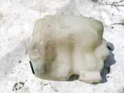 Scheibenwaschbehälter Vorne Wischwasserbehälter Renault Megane, II 2002.11 - 2006.06 8200104705,