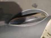 Türgriff Türaussengriff - Hinten Linke BMW 5-Series, F07F10 F11 2010.03 - 2016.12 Gebraucht,