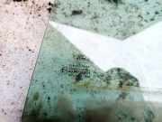 Seitenscheibe - Hinten Rechts Ford Mondeo, 2000.11 - 2007.03 AS2,