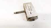 Expansionsventil für Klimaanlage Citroen C4 Picasso, I 2006.01 - 2013.06 Gebraucht,