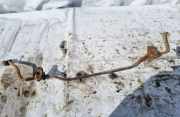 Stabilisator Vorne Fiat Stilo, 2001.10 - 2007.01 Gebraucht,